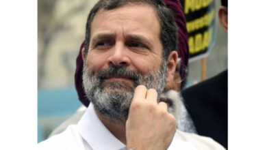 Rahul convicted in 'Modi surname' defamation case, granted bail