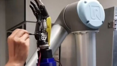 Humans may soon have robotic thumb, arm, wings