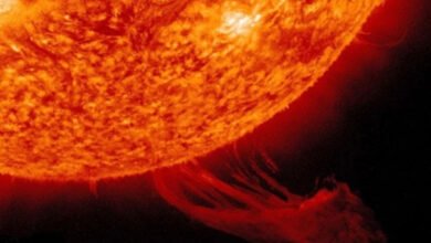 Severe solar storm hits Earth, strongest in last 6 years: Report