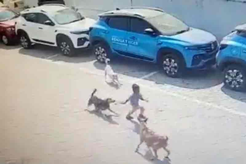 Macabre death of Hyderabad child moves authorities to act on strays - The Munsif Daily | Latest News India | World News | National and International Headlines Macabre death of Hyderabad child moves authorities to act on strays - The Munsif Daily | Latest News India | World News | National and International Headlines