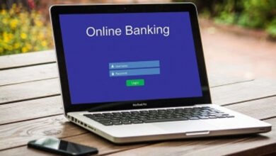 Indian-origin teen charged over online banking scam in UK