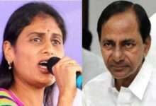 In fight against KCR, Sharmila reaches out to BJP, Cong leaders