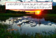Biodiversity and Islam
