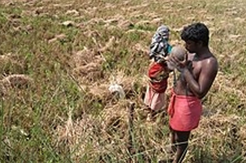 K'taka: 18 bonded labourers rescued, one arrested.