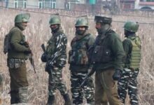 Three Maoists killed in encounter in Odisha's Kalahandi