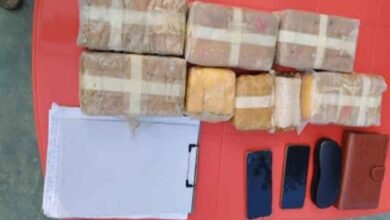 Mumbai DRI makes bonfire of drugs worth around Rs 1,500 cr