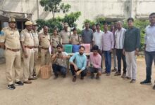 6 held in Hyderabad for exhibiting exotic animals at pub