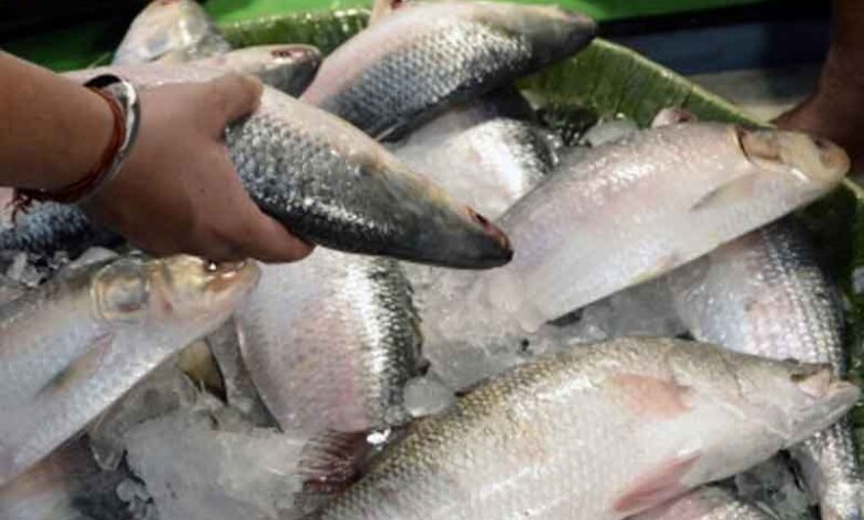 Meghalaya bans sale, distribution of imported fish for 15 days