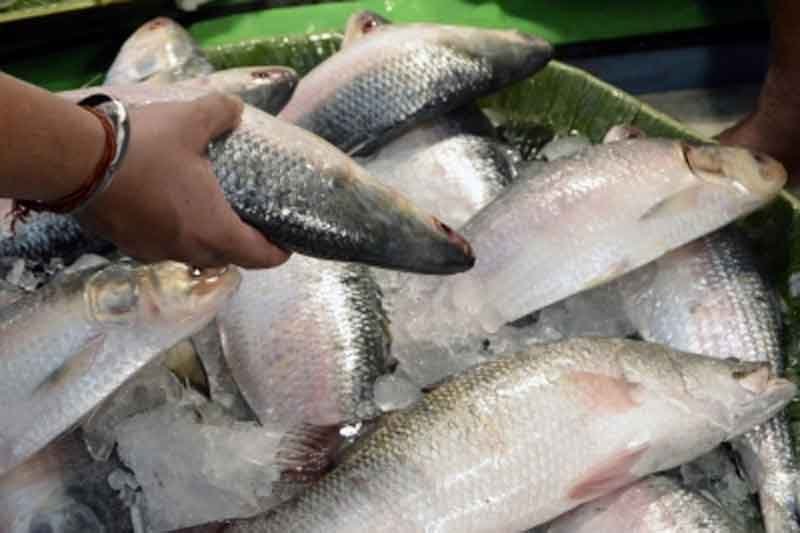 Meghalaya bans sale, distribution of imported fish for 15 days