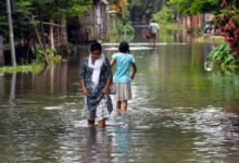 Assam flood situation still critical, 19 districts affected