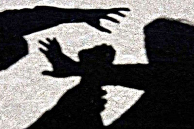 64-yr-old woman fatally attacked by son in Delhi