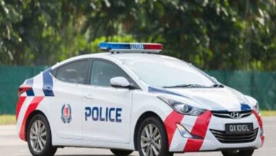 Indian-origin man admits to attacking cop in Singapore