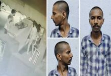 To beat the heat, thieves decamp with ice cream - and deep-freezer- from Mumbai supermart!