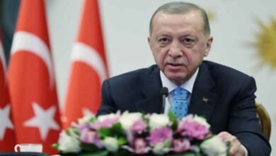 Erdogan calls for promoting dialogue over Turkey's accession to EU