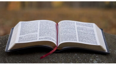 Primary schools in US state ban Bible for 'vulgarity, violence'