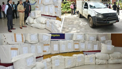 K’taka Police seize 1,500 kg ganja worth Rs 12 cr, arrest MBA graduate