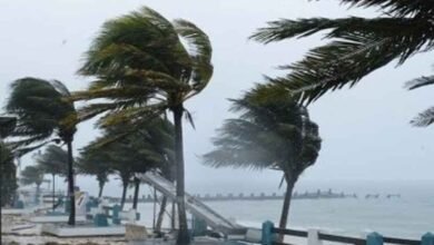 Seven killed, 22 injured in hurricane on wild beach in Russia