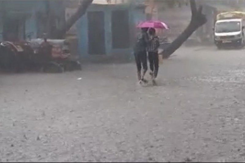 Heavy rain very likely in Telangana's four districts in next 24 hours: Met
