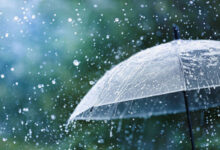 Scattered showers, heavy downpours expected across India: IMD