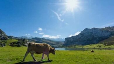 Spain under 2nd heat wave, temperatures to soar above 44 degrees