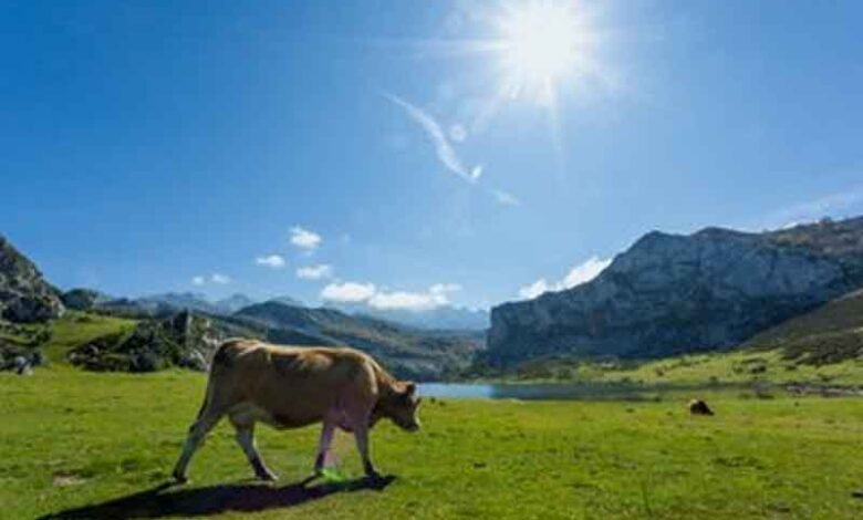 Spain under 2nd heat wave, temperatures to soar above 44 degrees