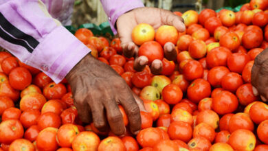 The price of tomato in Hyderabad has increased to Rs 200 per kg