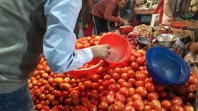 Amid rising prices, Centre to source tomatoes from Andhra, K'taka, Maha