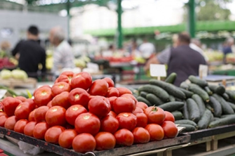 Govt to sell tomatoes at Rs 40 per kg from Aug 20