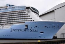 Indian woman who fell off Singapore cruise ship is dead, says son