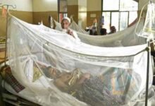 B'desh registers 2nd highest single-day dengue deaths of 2023