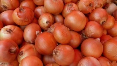 Nepal faces onion shortage after India imposes 40% export duty