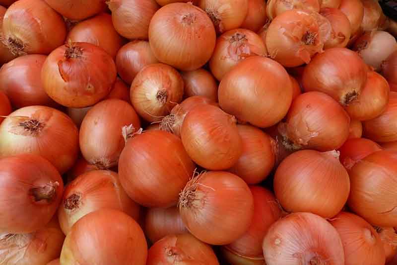 Nepal faces onion shortage after India imposes 40 export duty