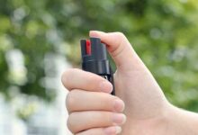 Pepper Spray incident: Goa child rights body seeks to reinstate accused students