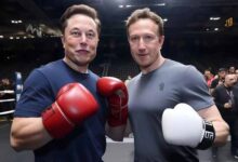 Musk says cage fight with Zuckerberg to livestream from epic Italy location