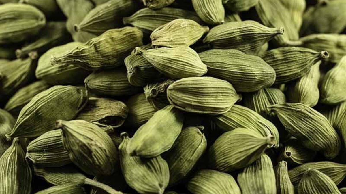 Superfood' cardamom may increase appetite, burn fat: Study