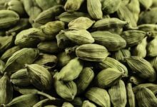 'Superfood' cardamom may increase appetite, burn fat: Study