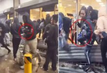 Masked looters attack Apple Store in US, steal iPhone 15 devices