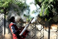 Bangladesh dengue death toll exceeds 900