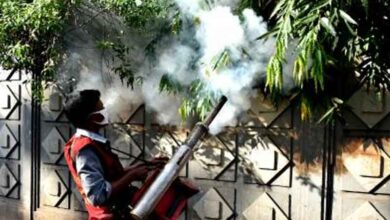 Bangladesh dengue death toll exceeds 900