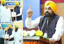 Provided 36,097 government jobs to youth in first 18 months: Punjab CM