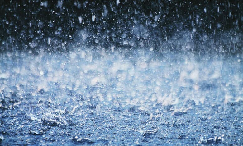 Heavy rain: Holiday declared for Class 1-5 students in TN's Vellore, Ranipet