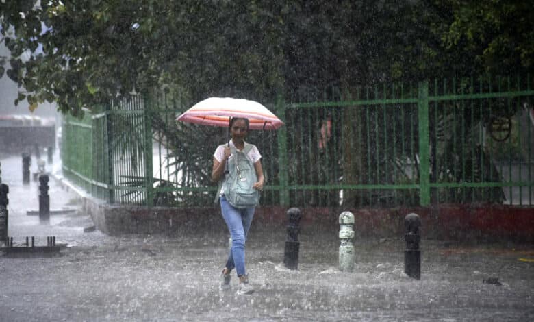 Telangana: Heavy rain likely in next 24 hours
