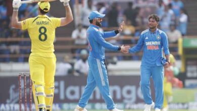3rd ODI: Warner, Marsh, Smith, Labuschagne smash fifties as Australia make mammoth 352/7