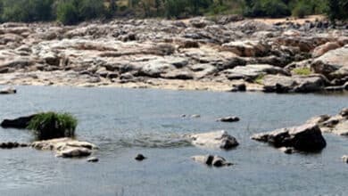 Cauvery dispute: Security tightened in Tamil-dominated areas of B’luru