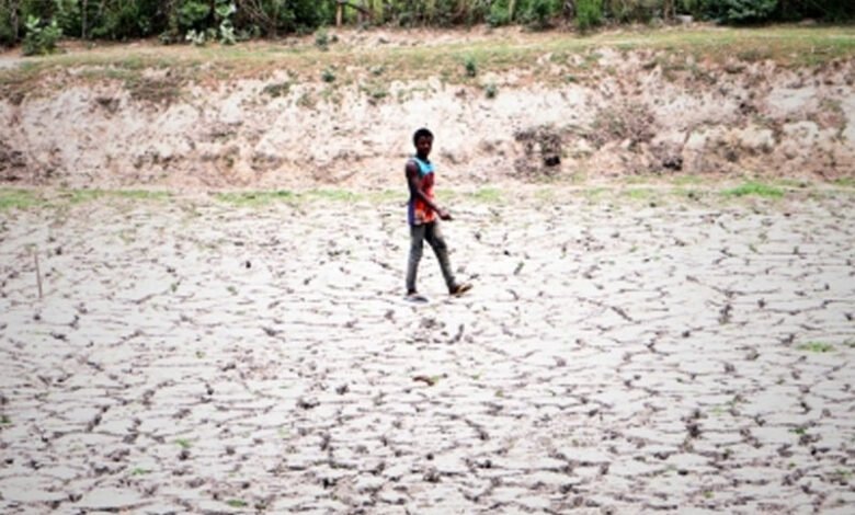 K’taka: 161 taluks declared severely drought-hit
