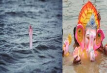 Gujarat: Man. nephew drown during Ganesh idol immersion