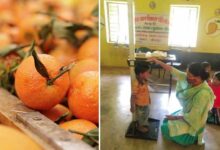 Malnutrition in childhood may cause poor growth, death, show studies