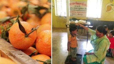 Malnutrition in childhood may cause poor growth, death, show studies