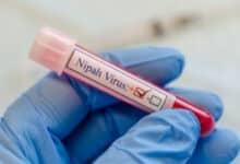 As Nipah cases in Kerala mount to 4, vigil at border checkposts of K'taka, TN begins