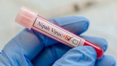 As Nipah cases in Kerala mount to 4, vigil at border checkposts of K'taka, TN begins